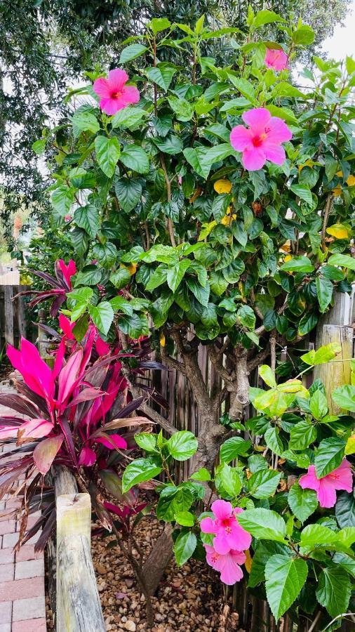 Willa Casa Flamingo Cape Canaveral Zewnętrze zdjęcie